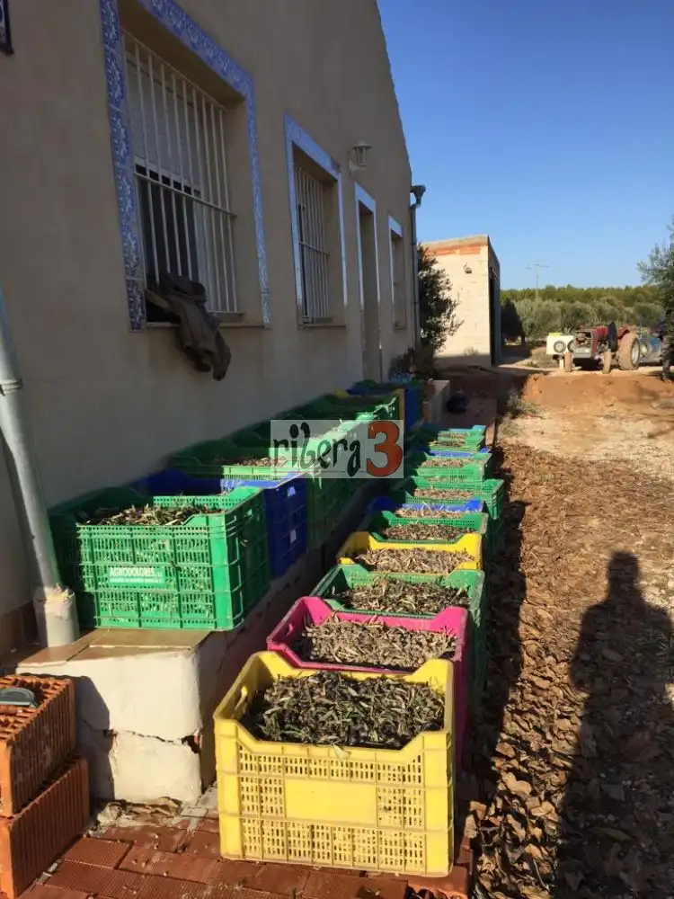 Finca rústica en venda a PARAJE CORRAL DE NARRO, Pozohondo