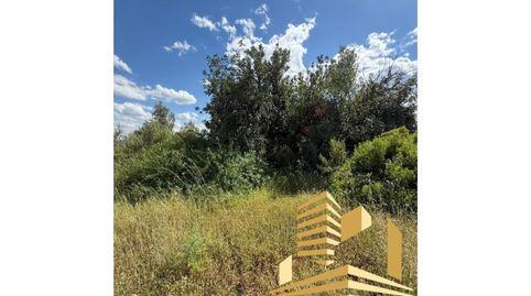 PARCELA EN VENTA EN COSCOJAR GODELLETA, imatge 5