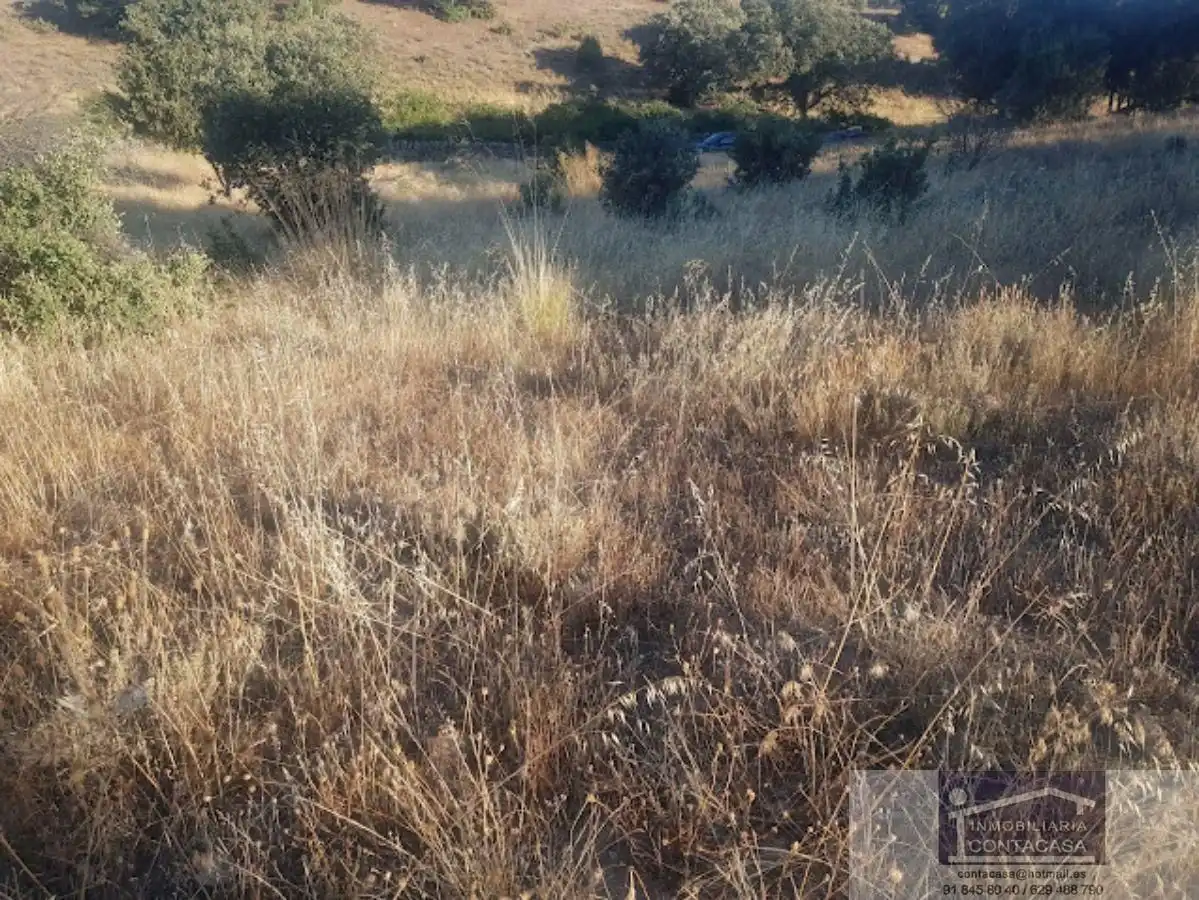 Finca rústica en venta en Colmenar Viejo