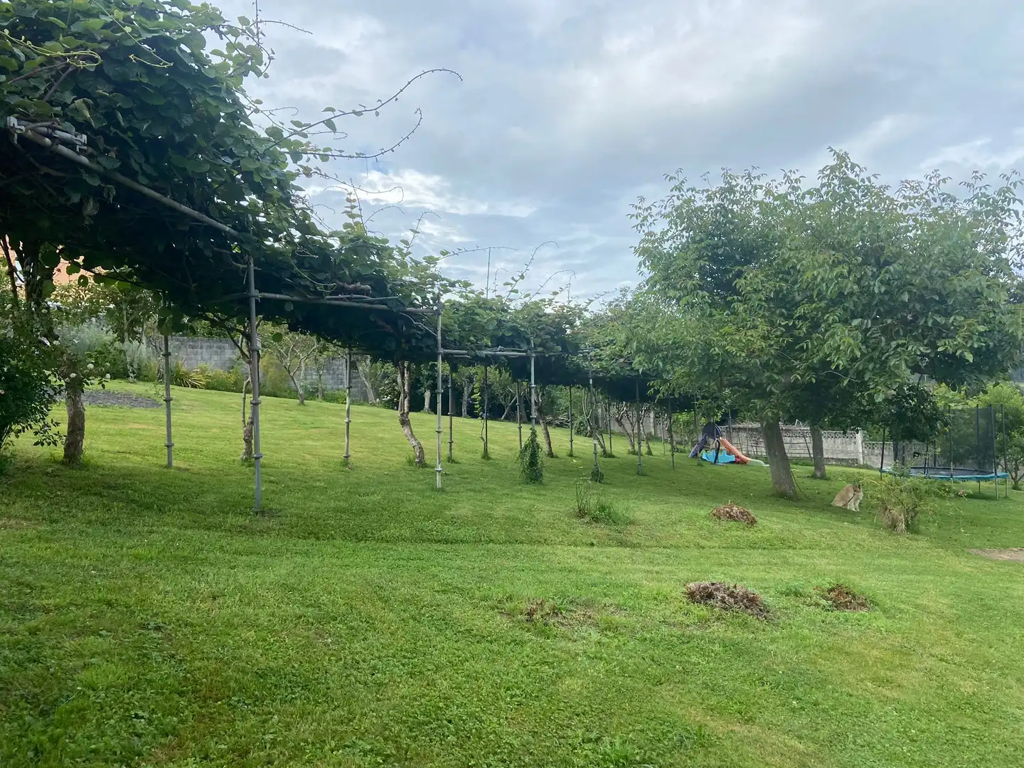 Casa o xalet en venda en Ferrol amb Jardí privat