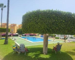 Swimming pool of House or chalet for sale in Torrevieja  with Terrace