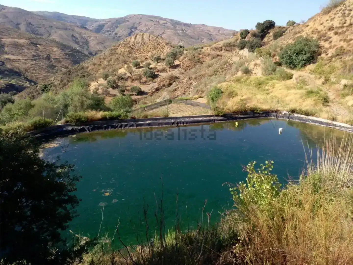 Piscina de Finca rústica en venda en Cádiar