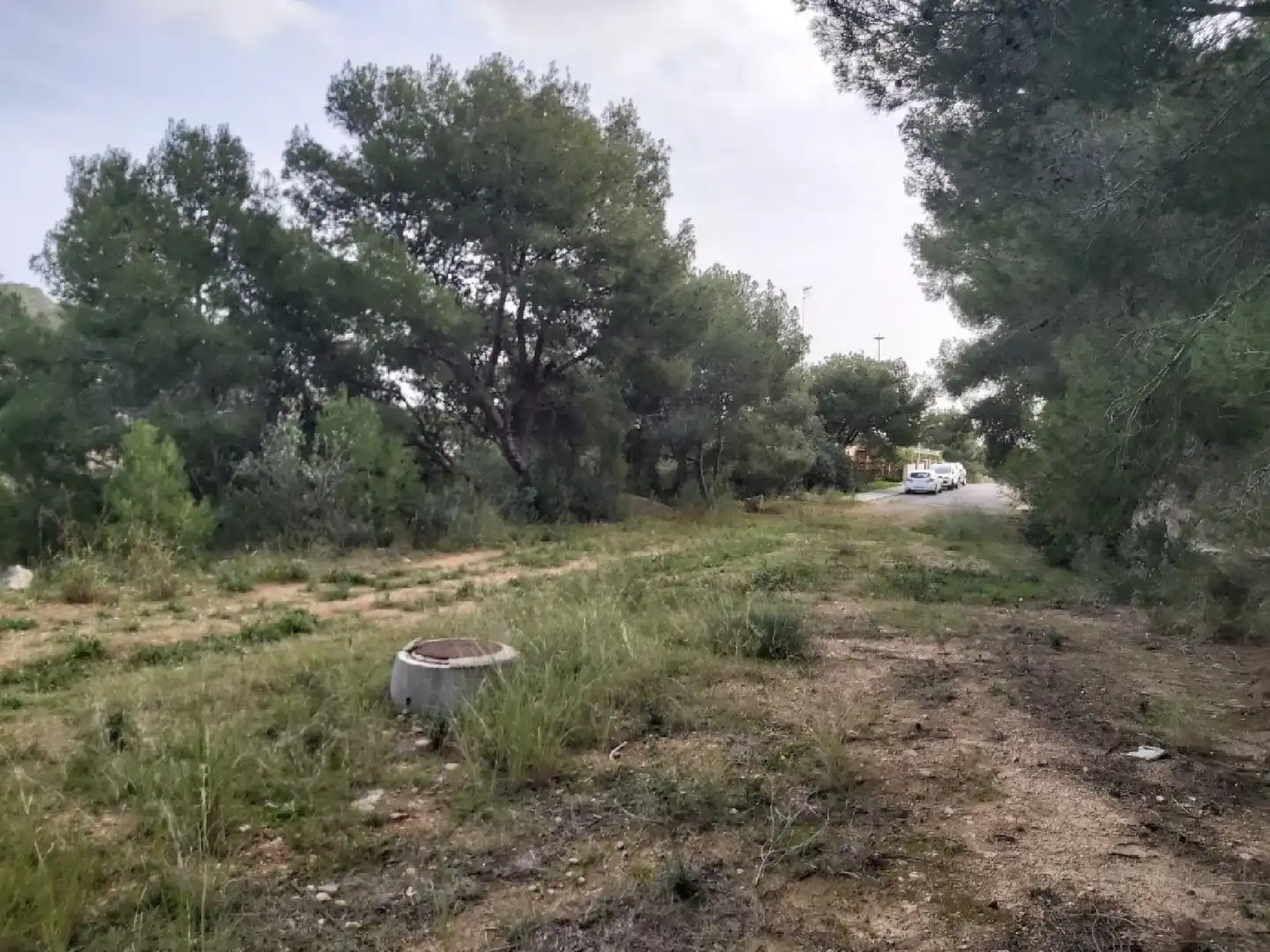 Lands and plots for sale in Roda de Barà, imagen 13