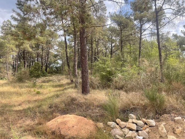 Land for sale in Tordera