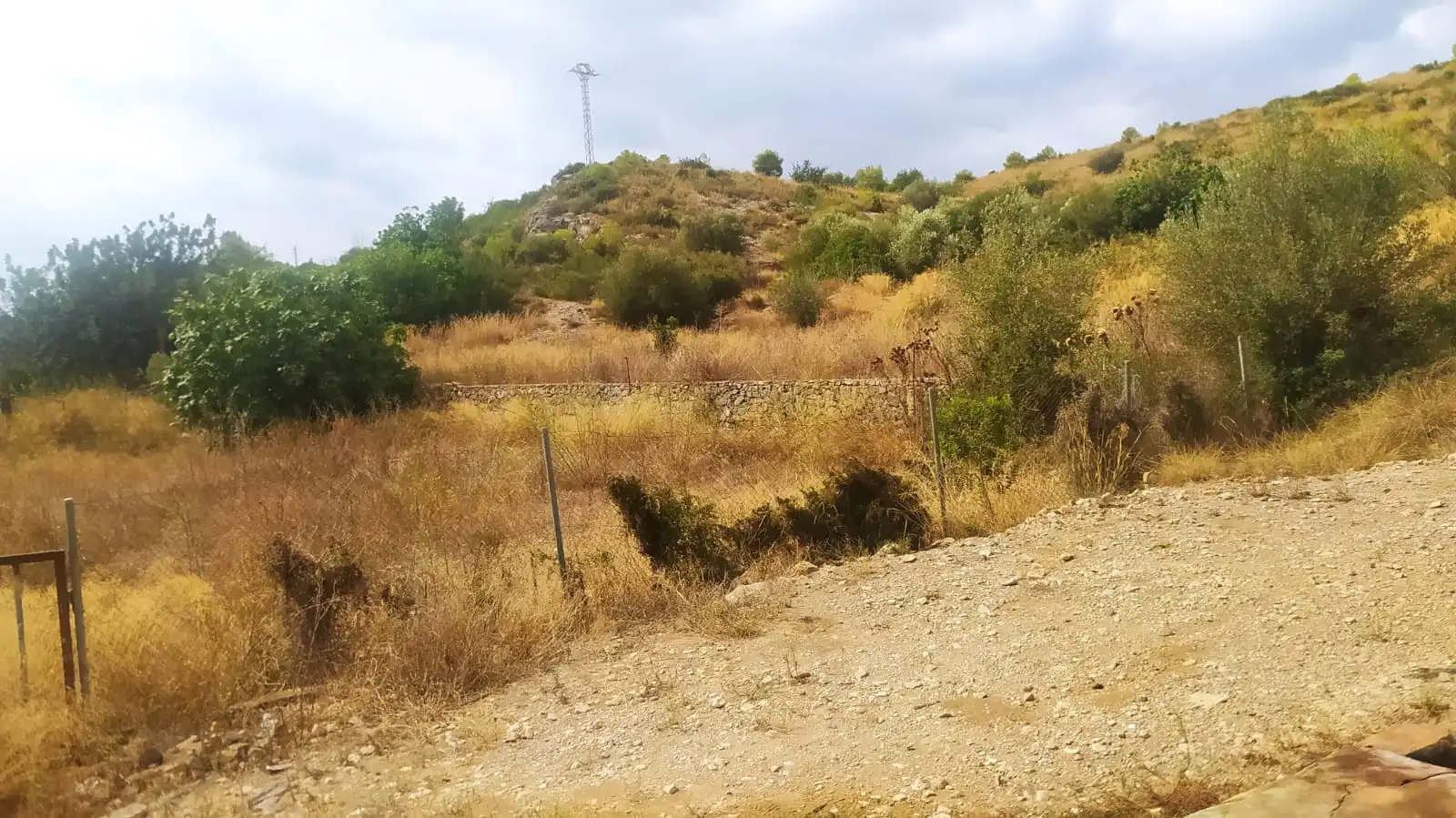 Rural land for sale in Vilamarxant