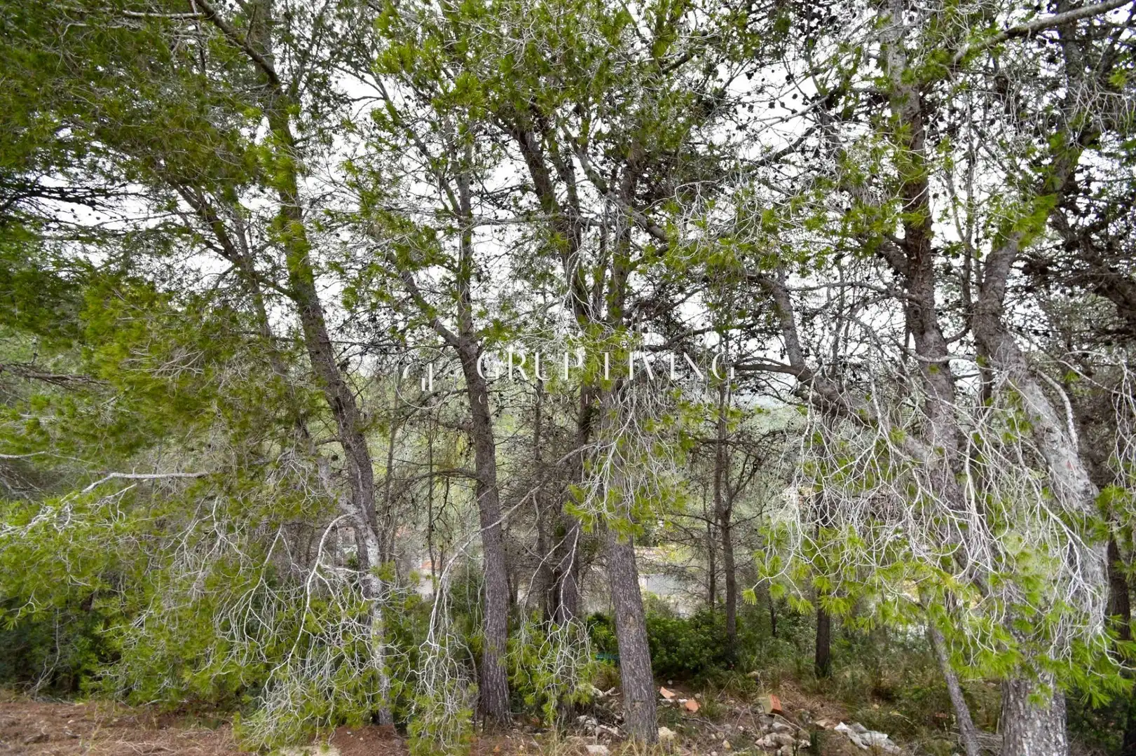 Residential land for sale in Can Lloses - Can Marcer, imagen 5