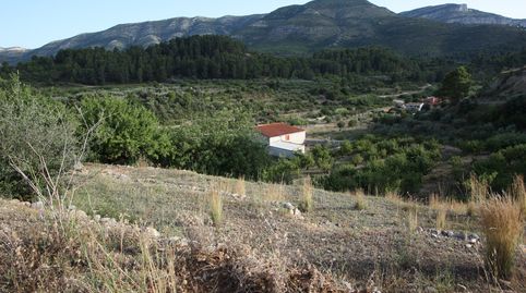 Foto 5 de Finca rústica en venda a Murla, Alicante