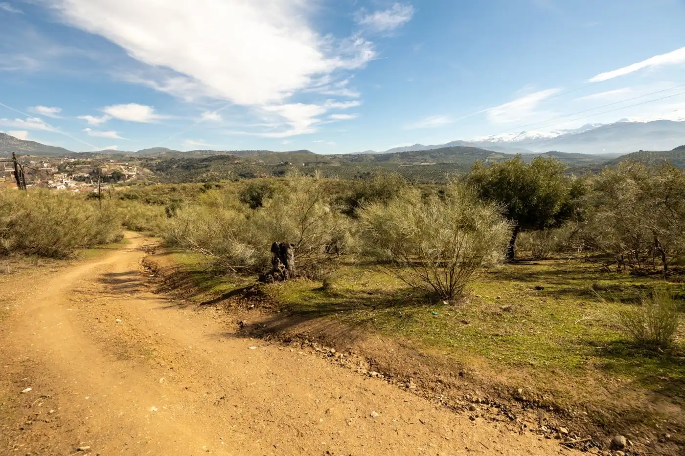 Country house for sale in Albaicín, imagen 38