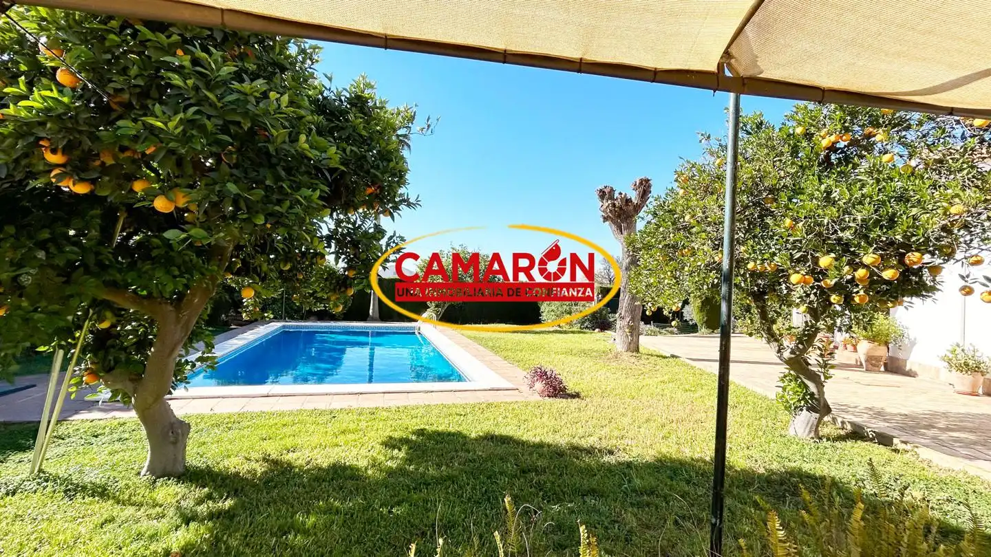 Jardí de Finca rústica en venda en Coria del Río amb Jardí privat i Piscina