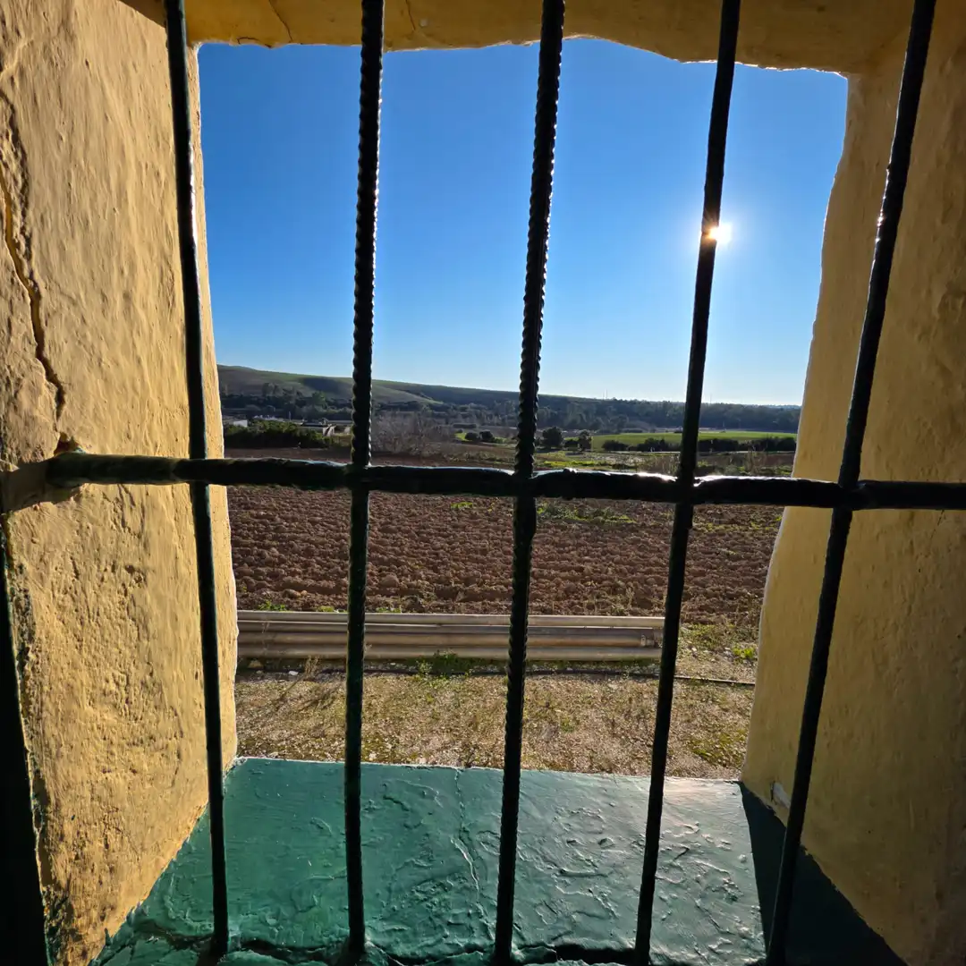 Terreni e lotti in vendita a Arcos de la Frontera, imagen 21