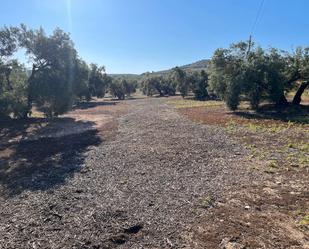 Land for sale in Castro del Río