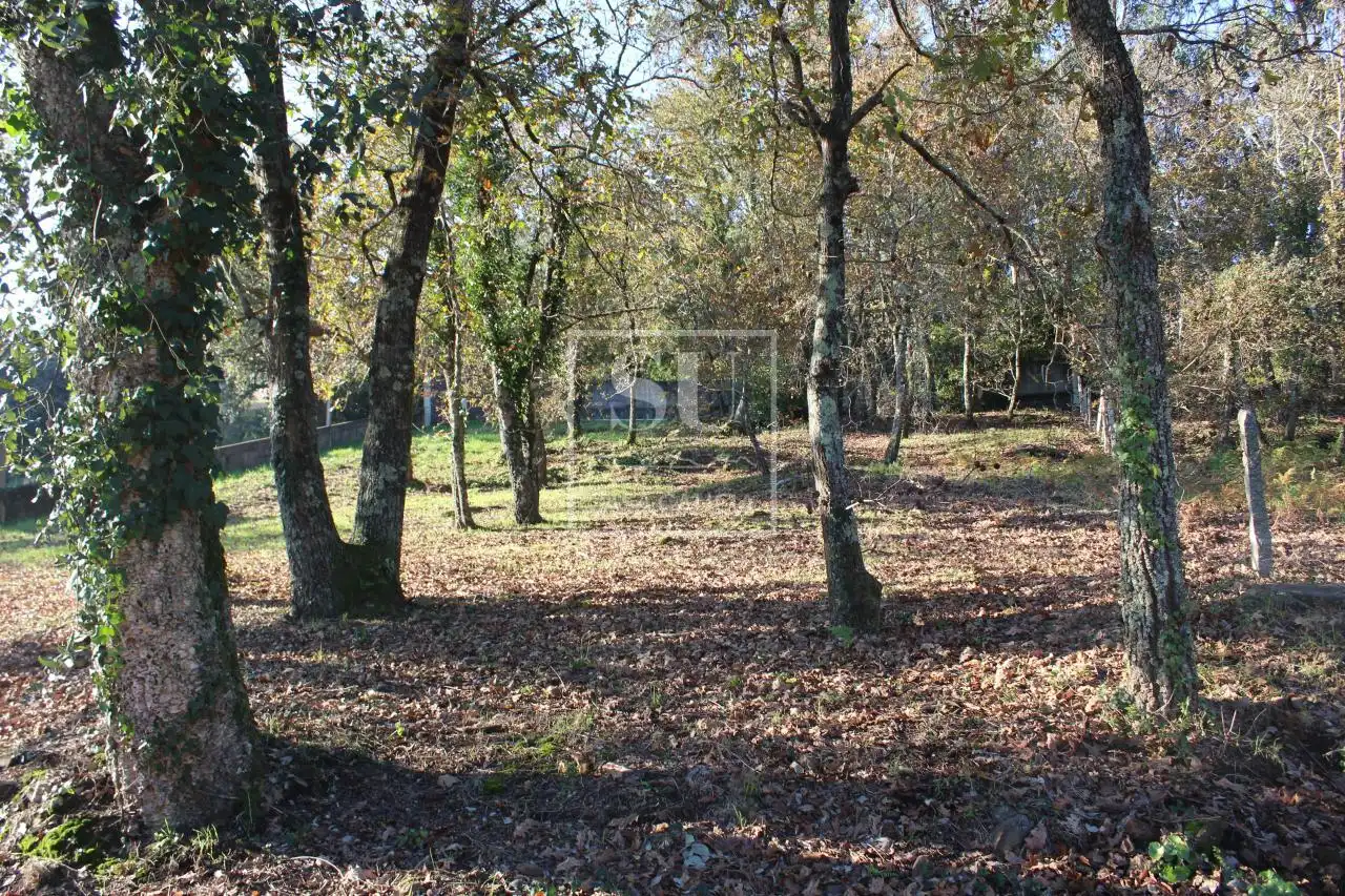 Xalet amb jardí en venda a O Rosal, imagen 18