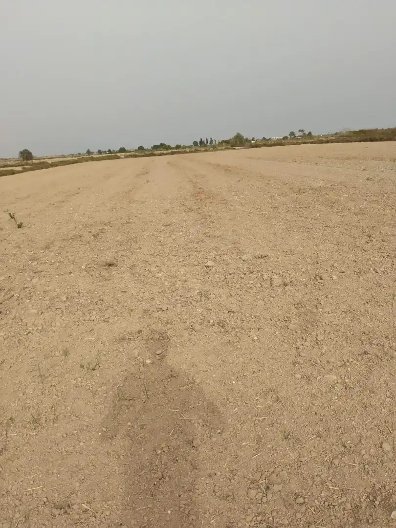 Terreno en venta en Elche / Elx