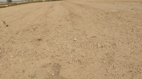 Foto 2 de Terreny en venda a Partida Daimes, 150, La Foia - Daimés - Asprella, Elche / Elx