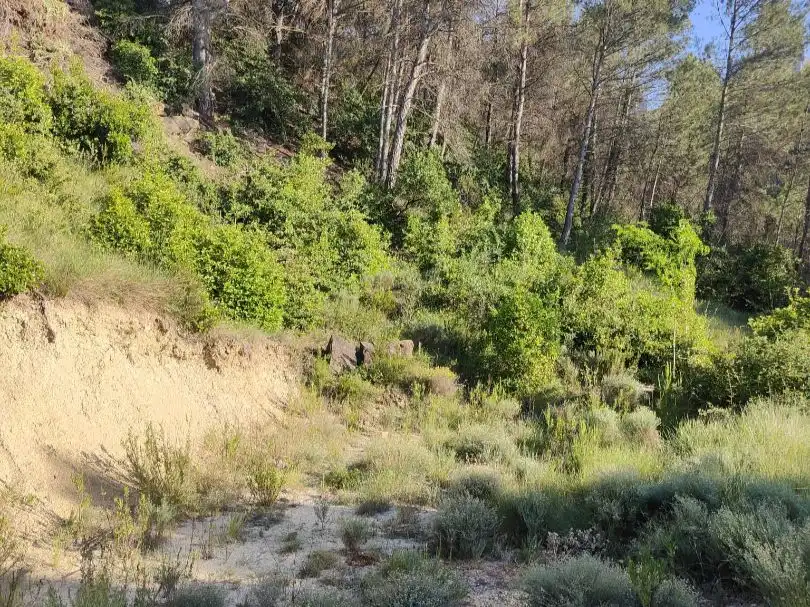 Residencial en venta en Castellbell i el Vilar