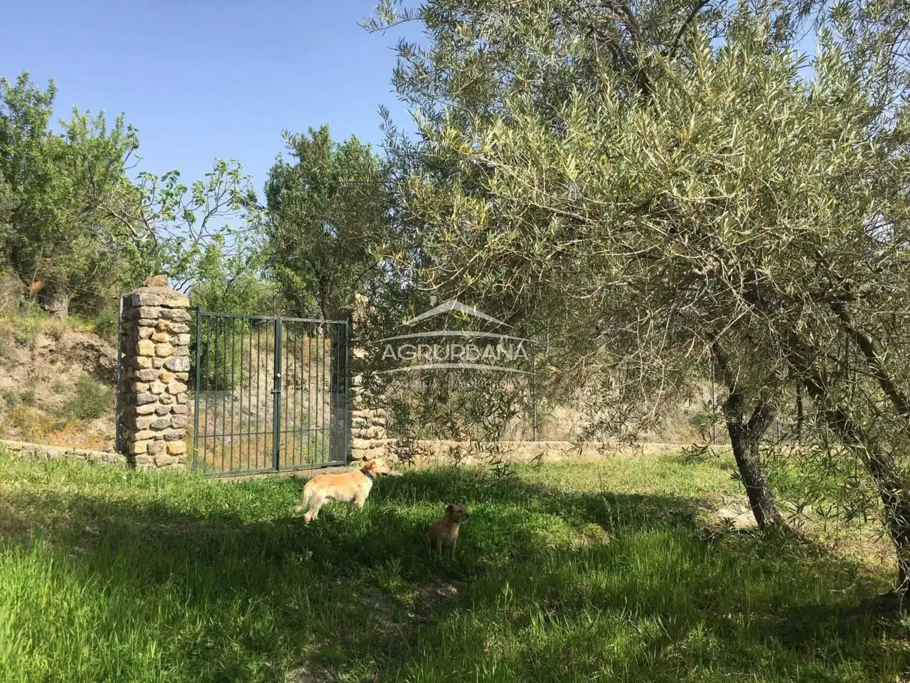 Terreni e lotti in vendita a Poligono 2, imagen 40