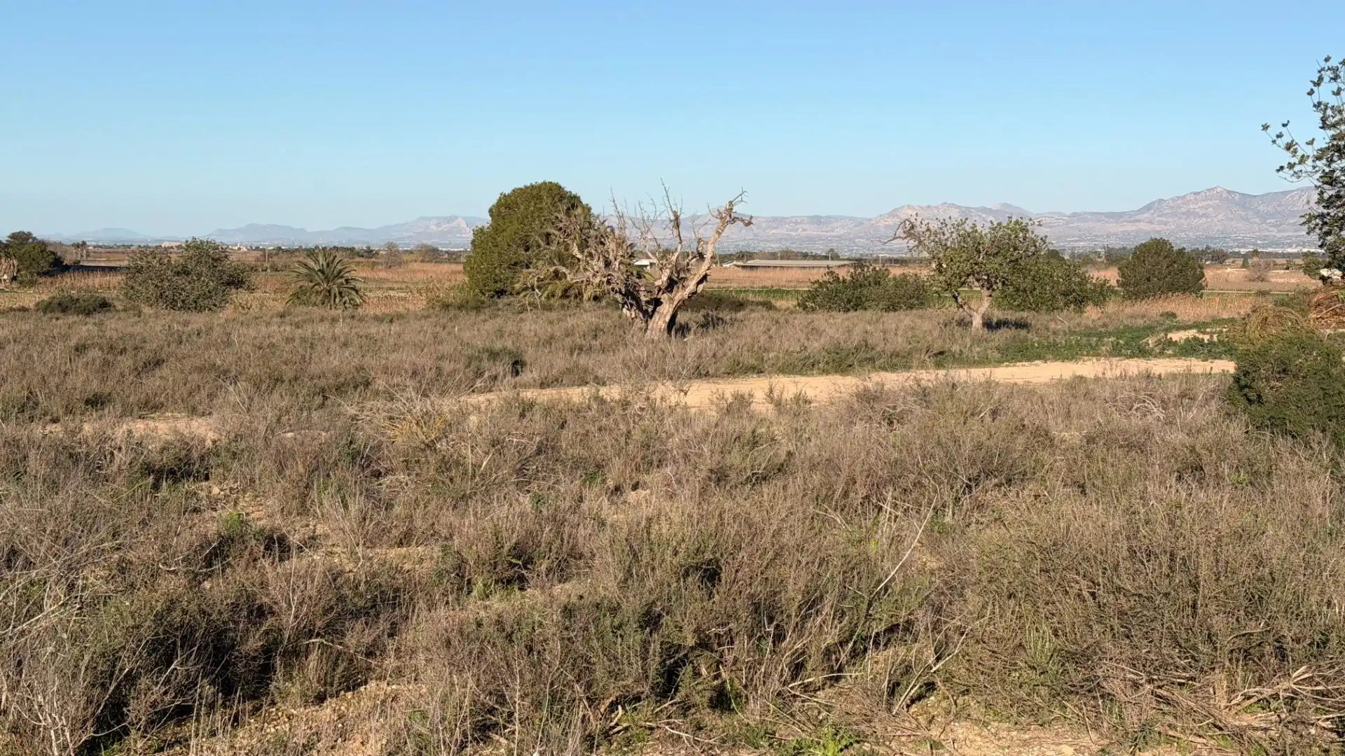 Terreno residencial en venta en La Marina, imagen 26