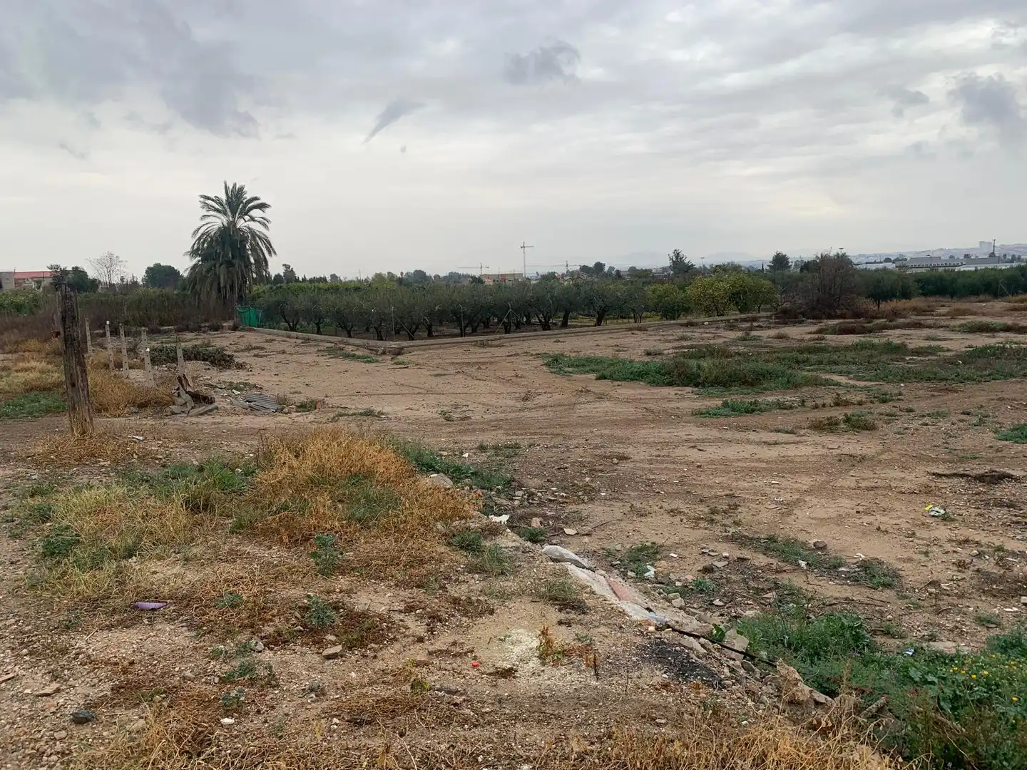 Terrenos y solares en venta en Calle de la Cruz 10, imagen 3