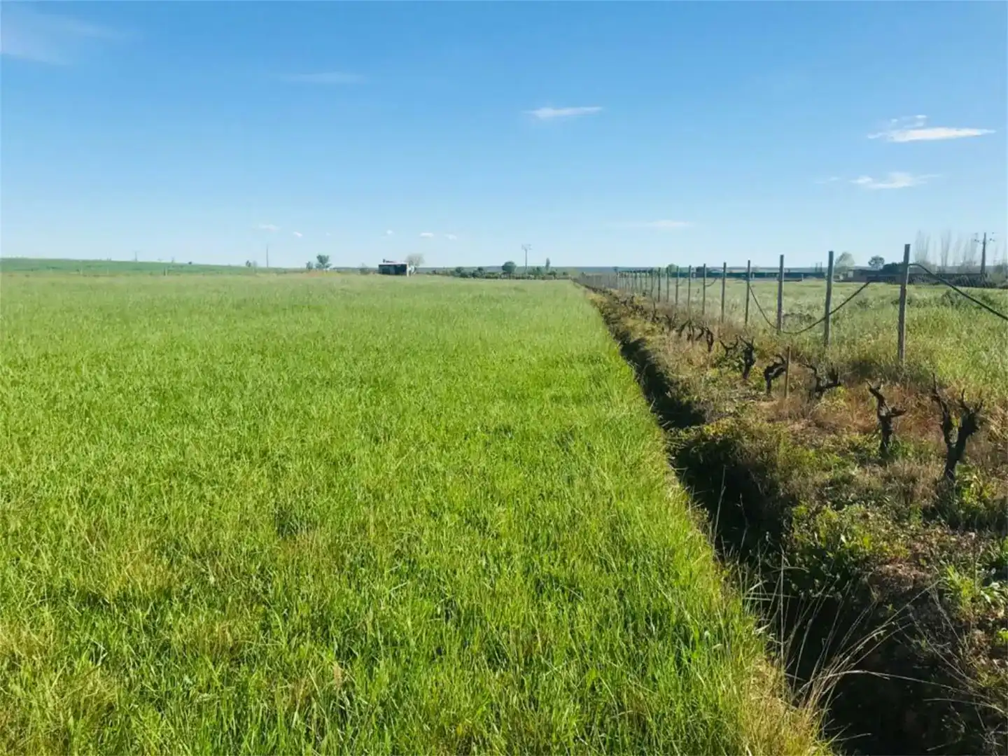 Land for sale in Moraleja