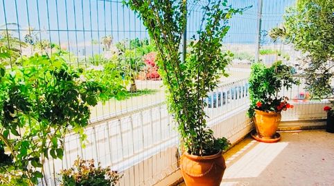 Foto 4 de Apartamento en venta en Oliva Nova, Oliva