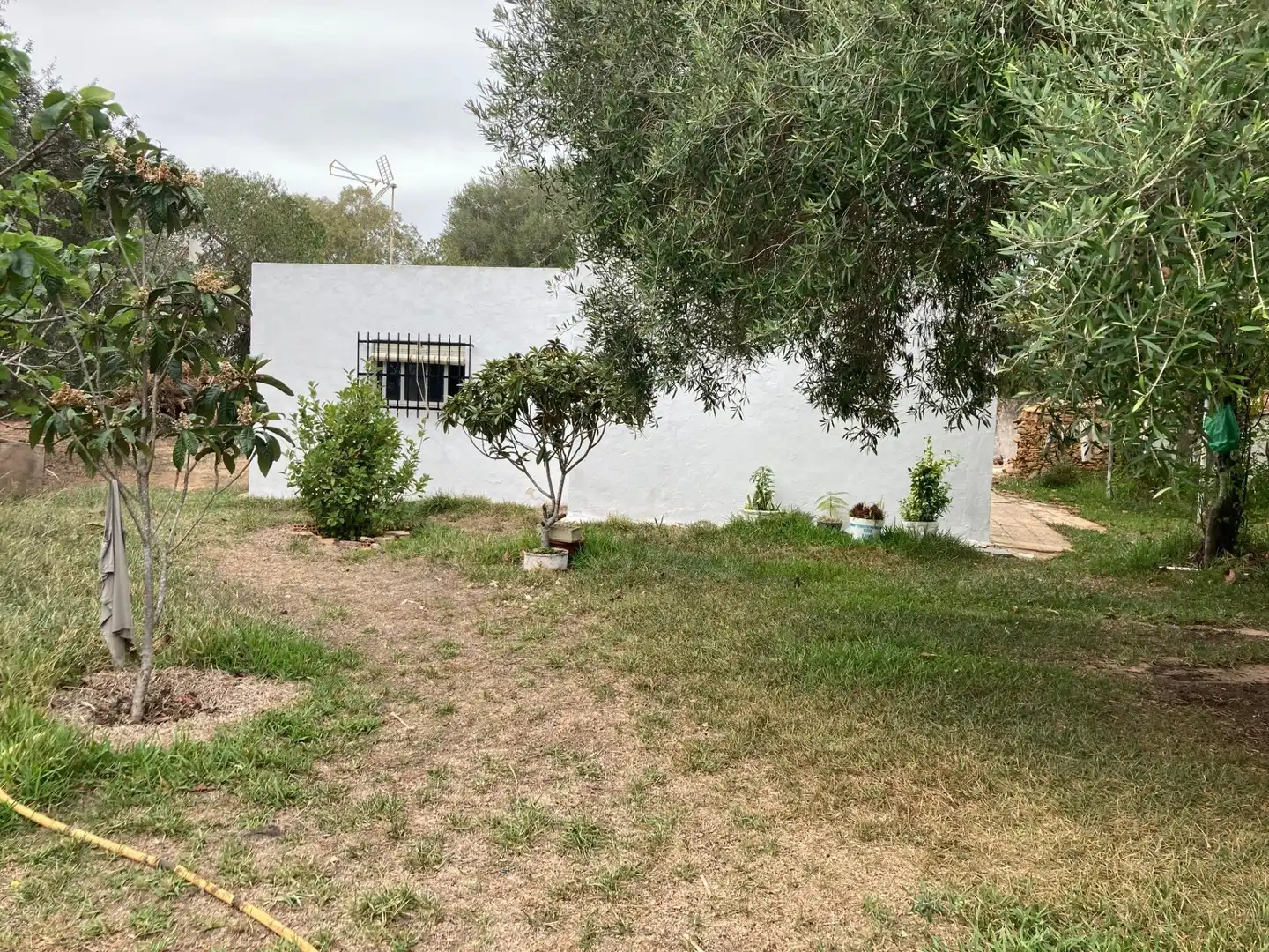 Casa rústica amb jardí en venda a Vejer, imagen 16