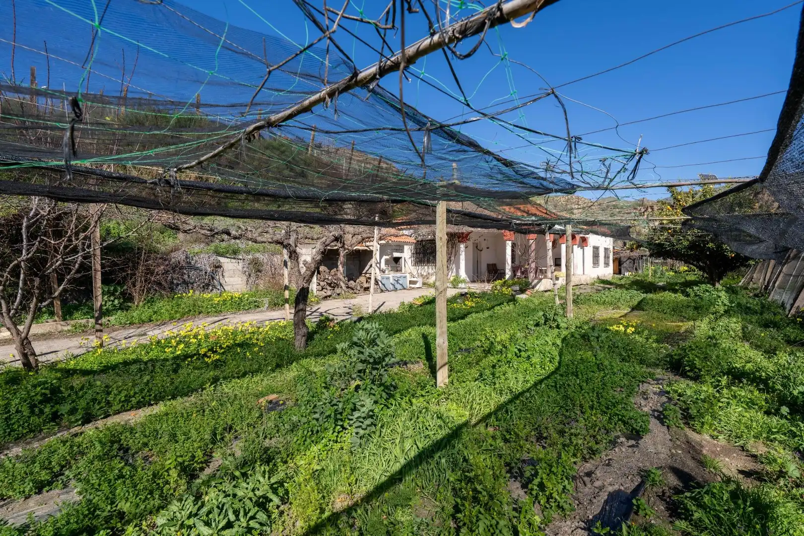 Casa rústica en venda a Canjáyar, imagen 62