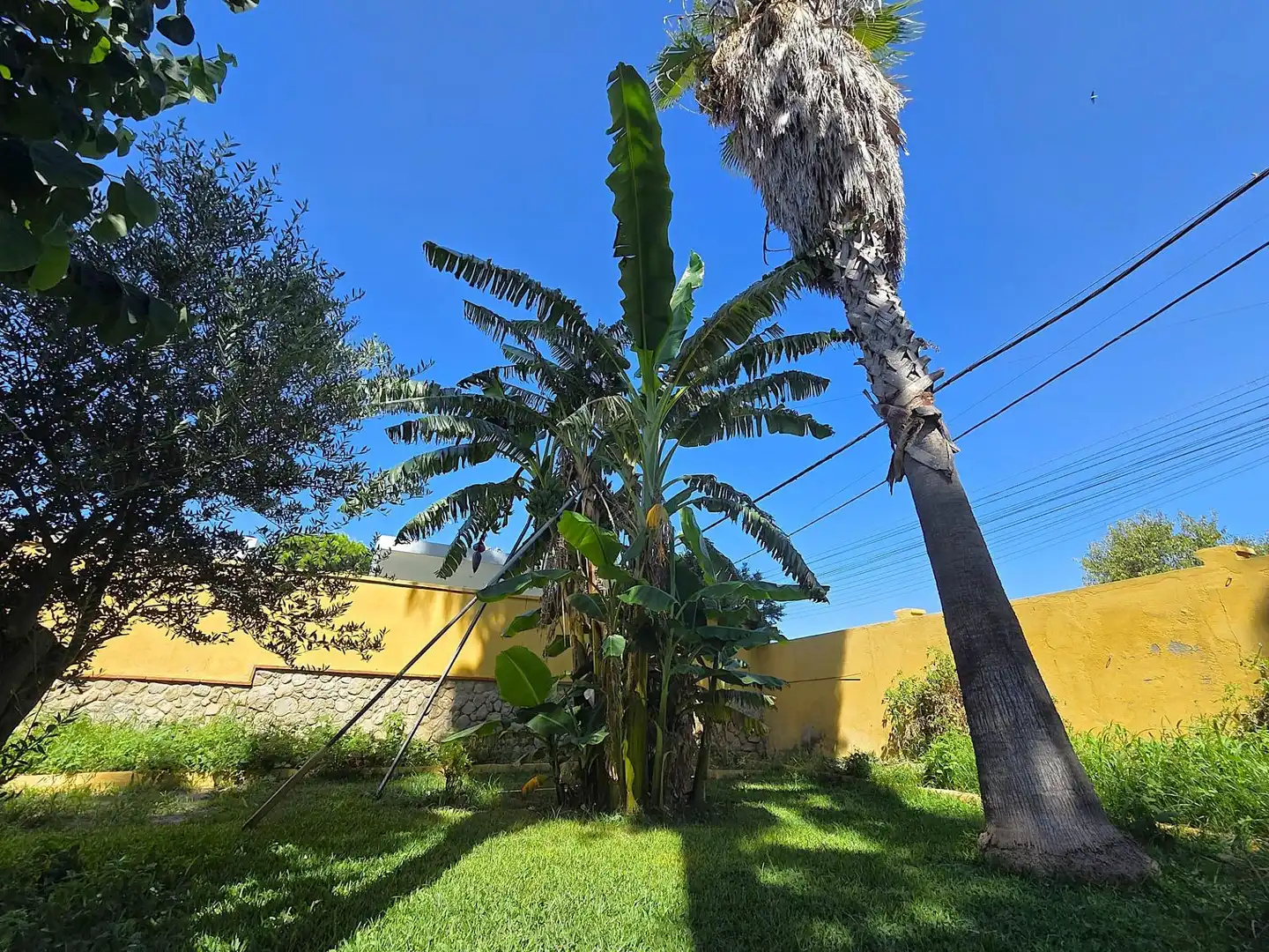 Außenansicht von Haus oder Chalet zum Verkauf in Chiclana de la Frontera mit Privatgarten, Abstellraum und Schwimmbad