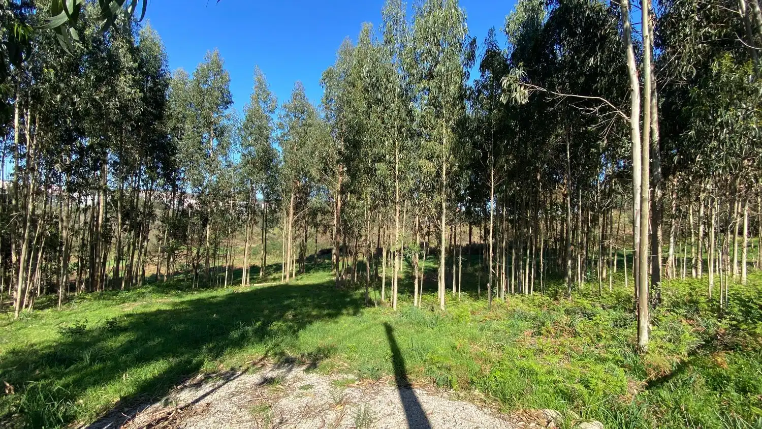 Terreni e lotti in vendita a Rúa Camiño dos Muiños 18, imagen 3