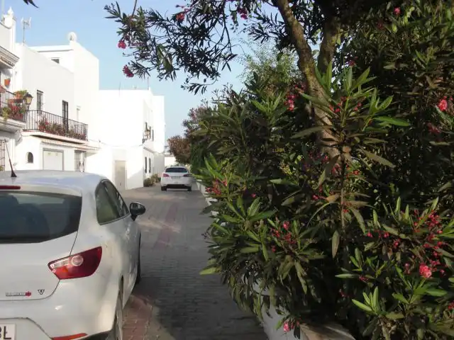 Terreno residencial en venta en Vejer, imagen 3