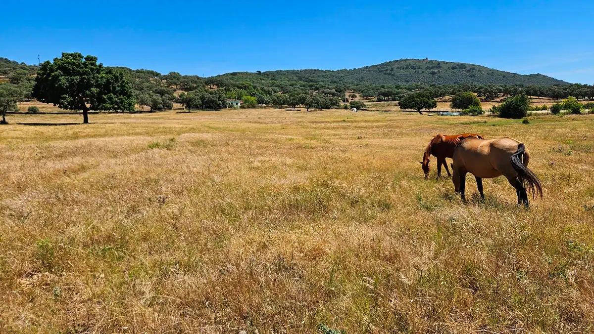 Casa o chalet en venta en Higuera de la Sierra con Aire acondicionado, Jardín privado y Terraza