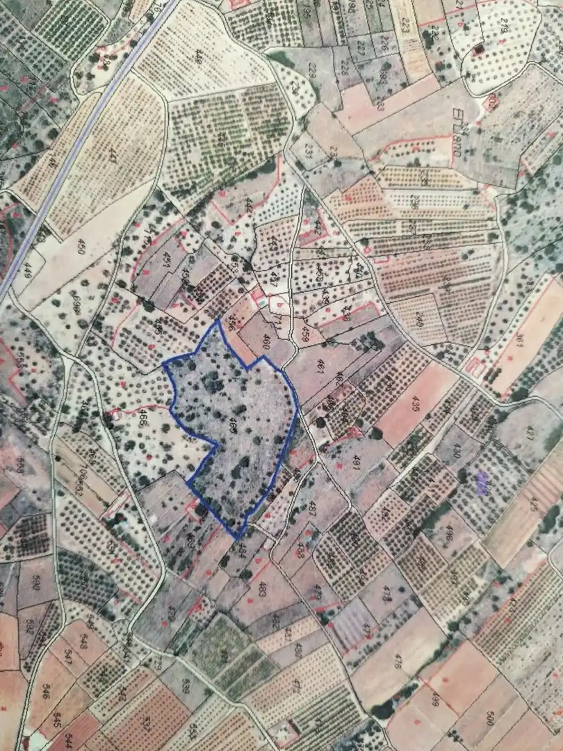 Terreno rustico in vendita a Navarrés, imagen 4