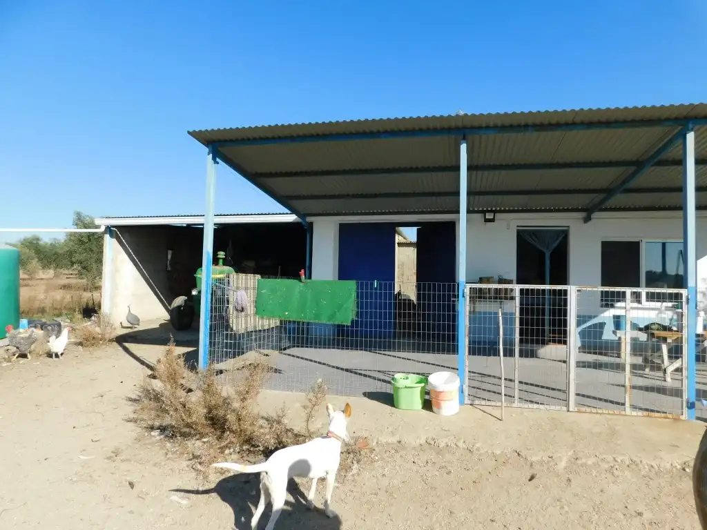 Vista exterior de Casa o chalet en venta en La Haba  con Jardín privado y Trastero
