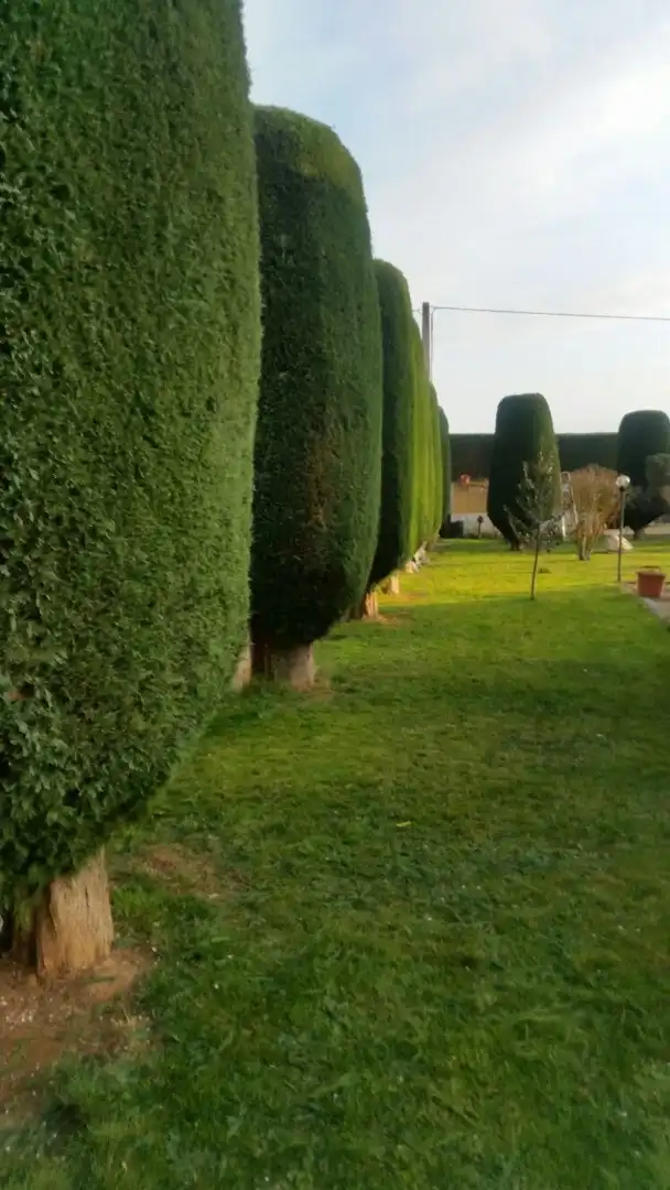 Jardín de Finca rústica en venta en Cabañas Raras con Calefacción, Terraza y Piscina