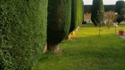Foto 4 de Finca rústica en venda a Cabañas Raras, León