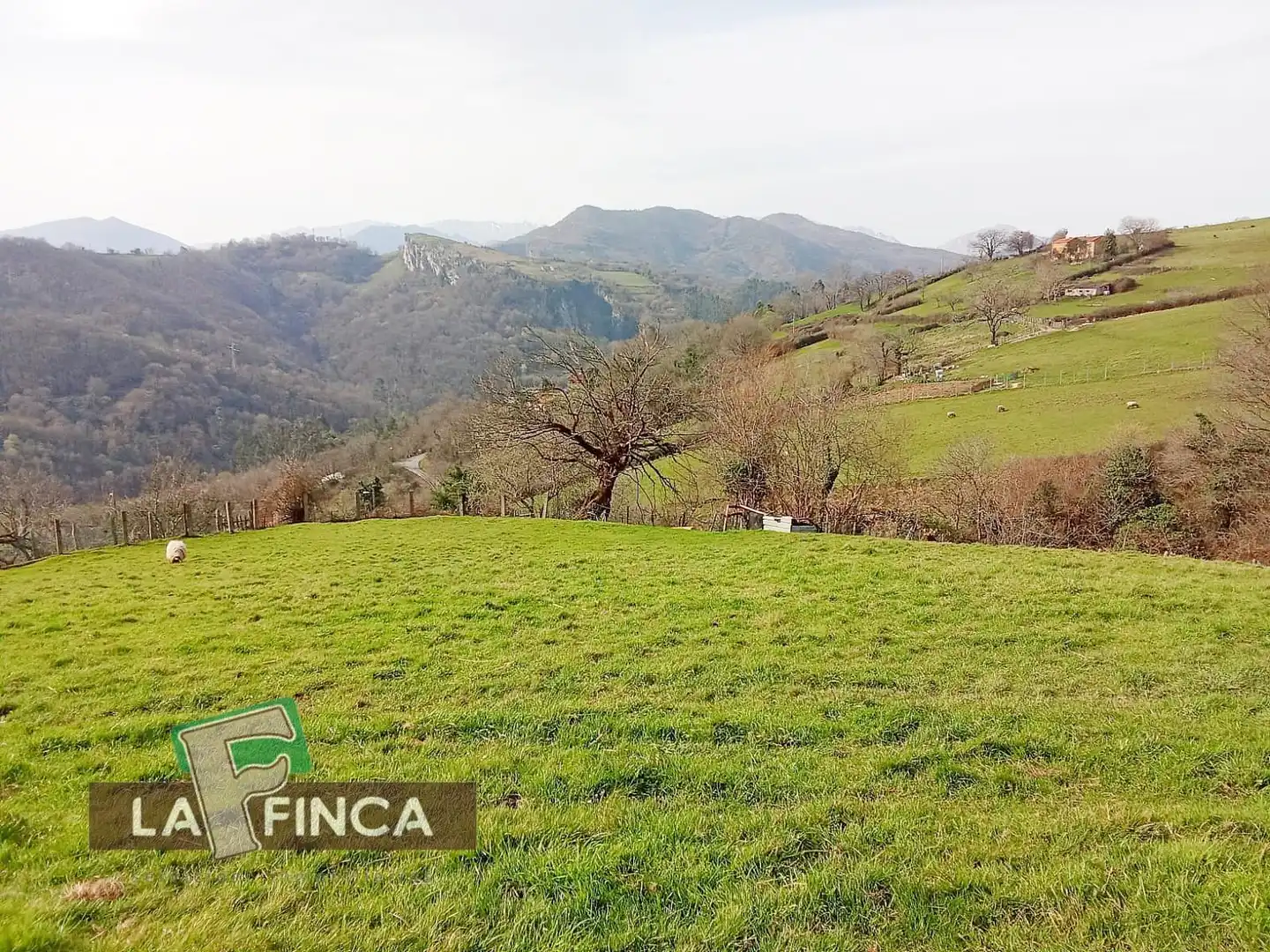 Residencial en venda en Oviedo 