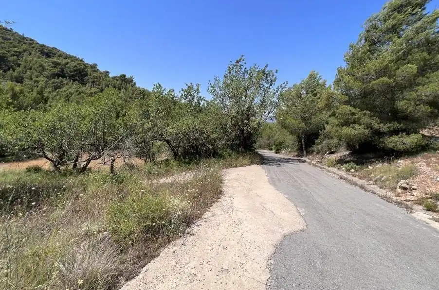 Rural land for sale in Borriol, imagen 2