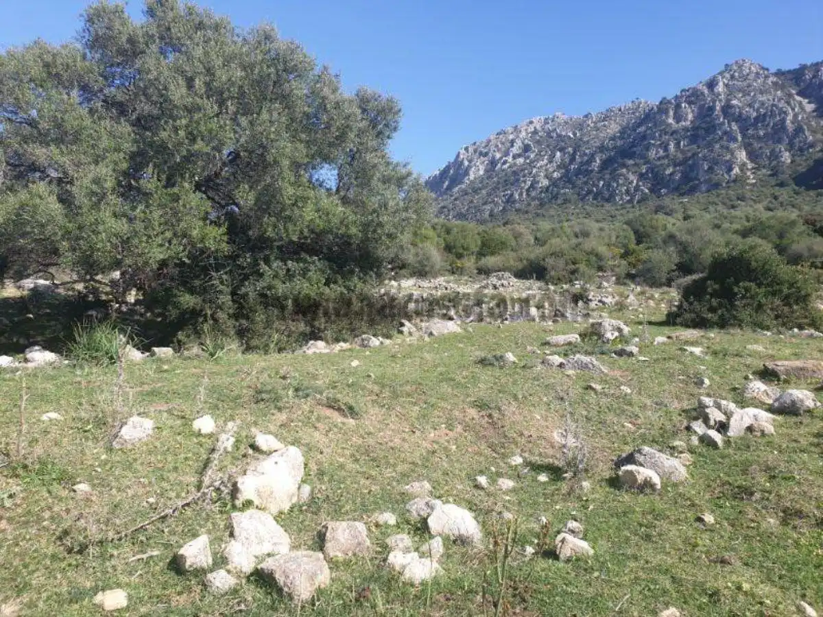 Residencial en venda a Casares, Málaga