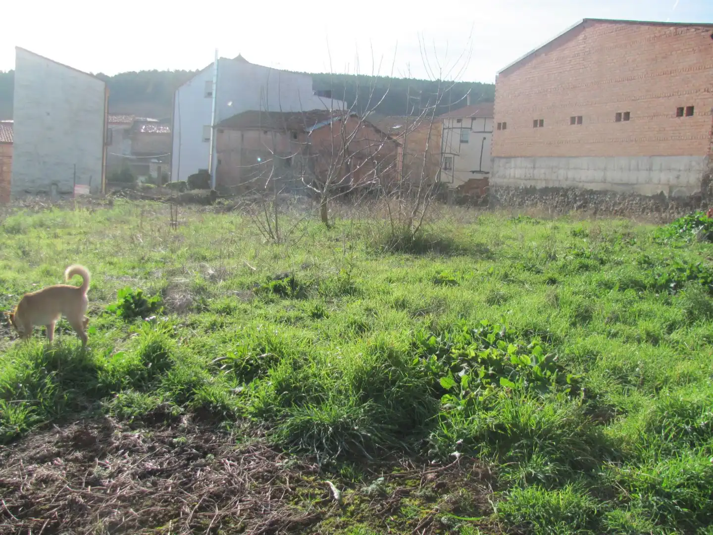 Residencial en venda en Villar de Torre