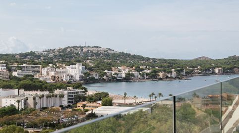 Imatge 4 de l'anunci