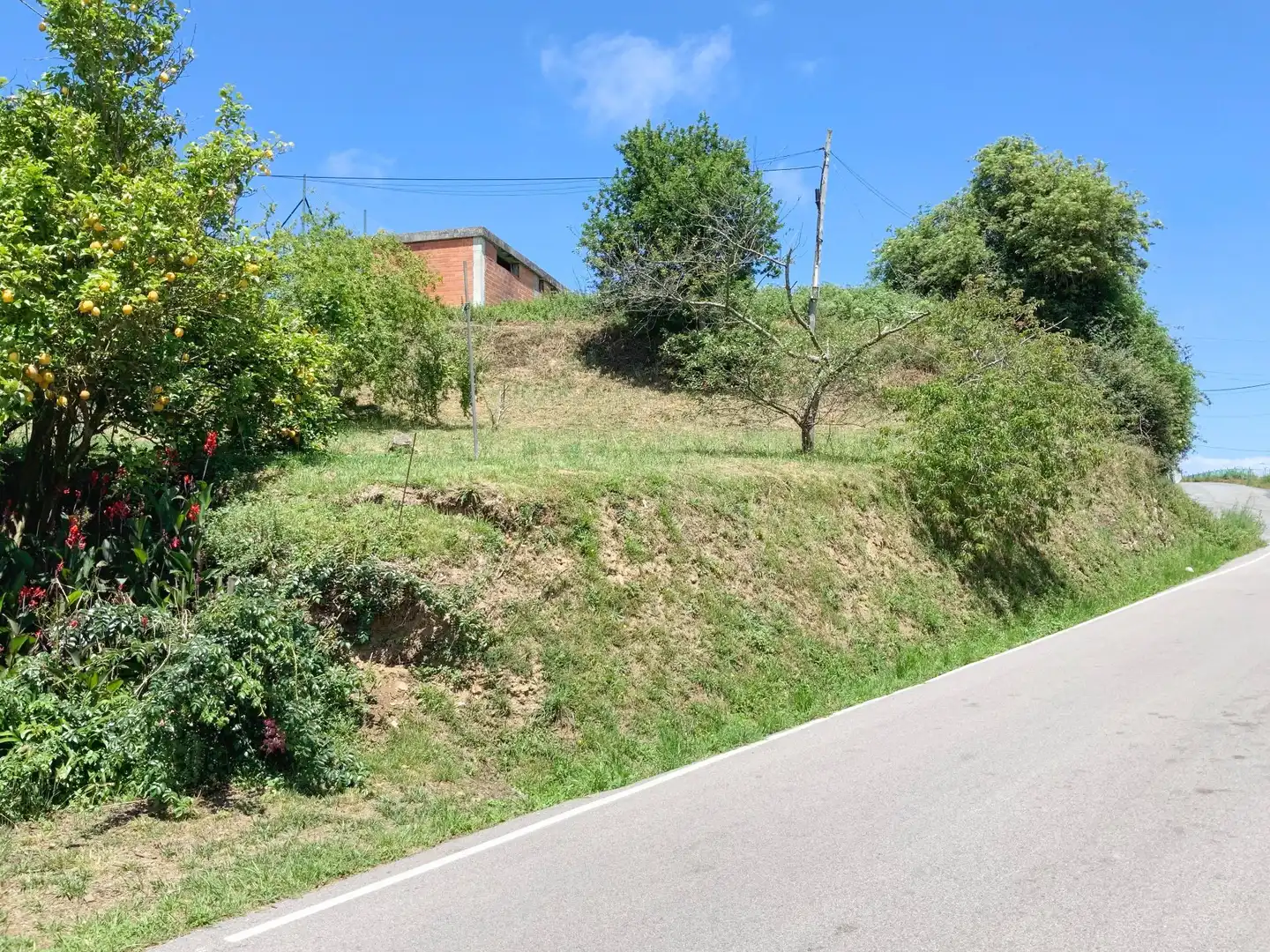 Terreni e lotti in vendita a Aviadoiro, imagen 3