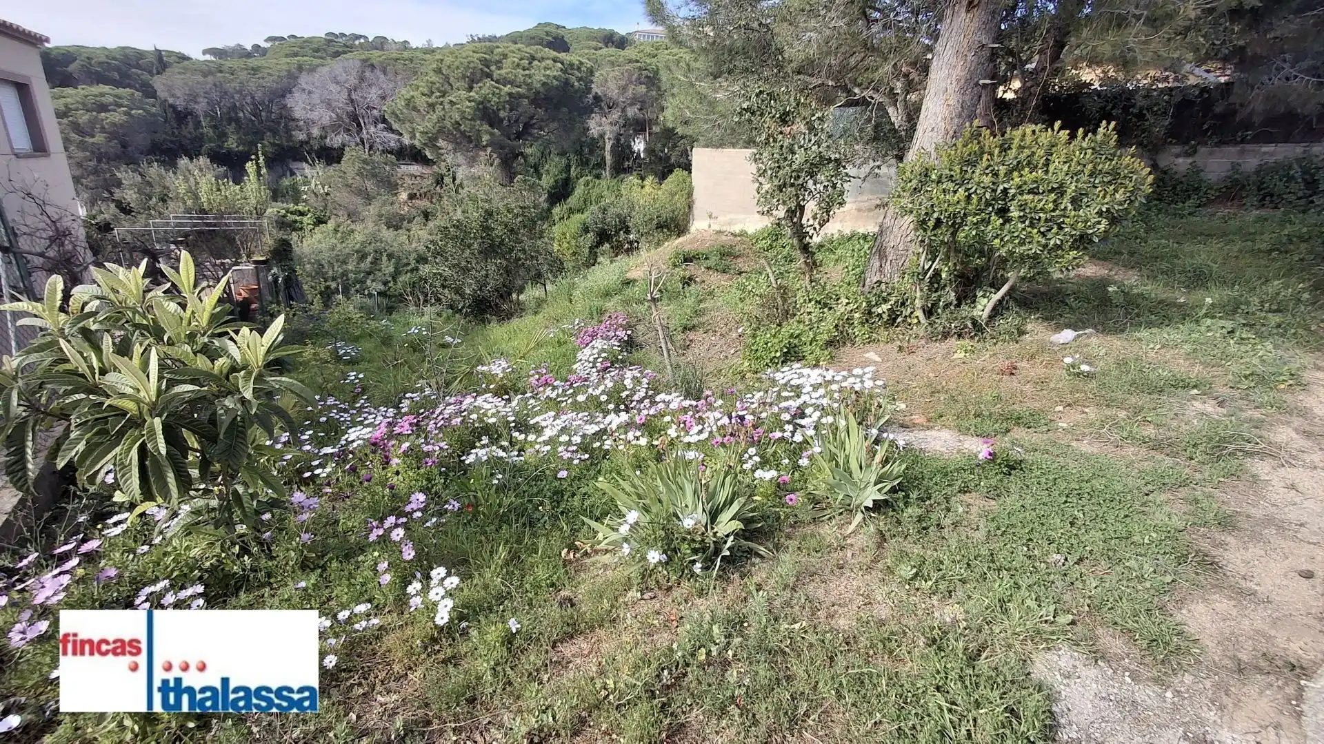 Terrenos y solares en venta en Lloret Verd - Els Pinars