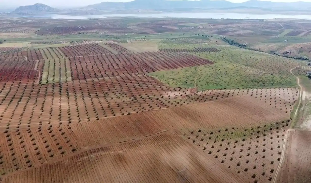 Terreni e lotti in vendita a Alange, imagen 15