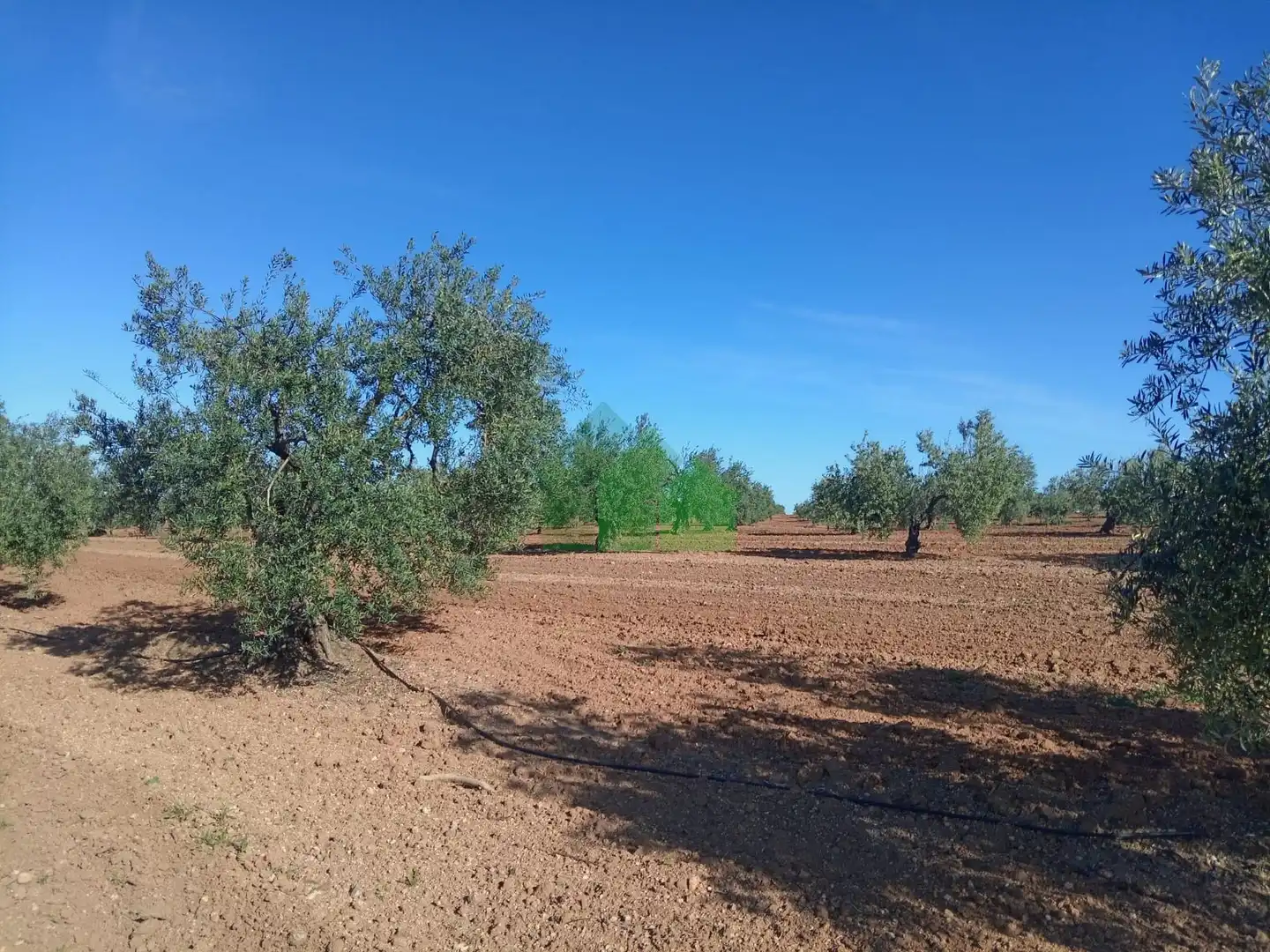 Residencial en venta en Corte de Peleas