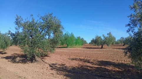 Photo 3 of Residential for sale in Corte de Peleas, Badajoz