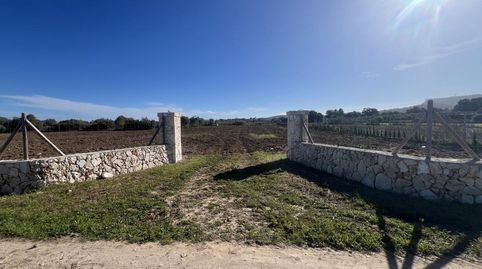 EXCLUSIVA FINCA RÚSTICA CON LICENCIA PARA CONSTRUIR TU CASA SOÑADA, immagine 5