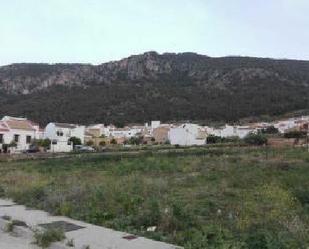 Land for sale in Algodonales