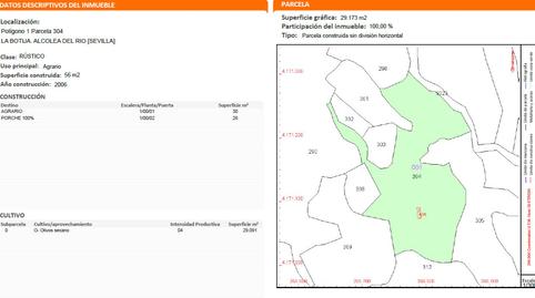 Foto 4 de Terreno en venta en A-436, 24, Lora del Río, Sevilla