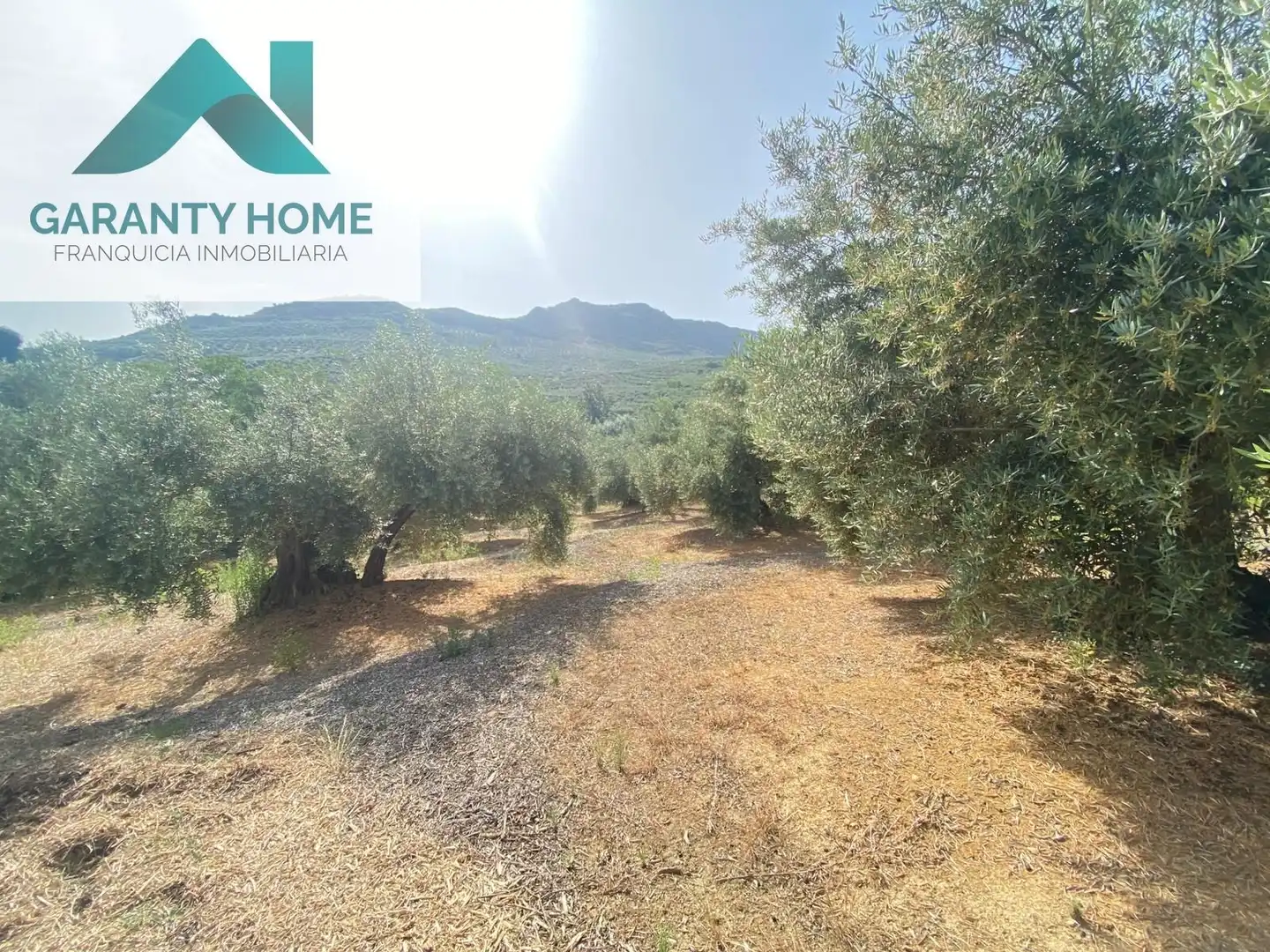 Terreno en venta en Valdepeñas de Jaén