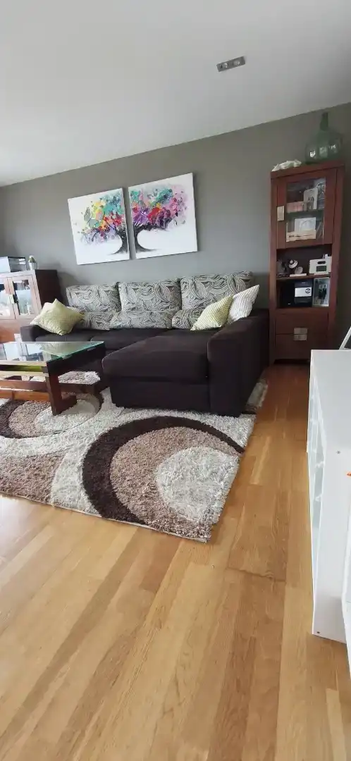 Living room of Flat for sale in Boqueixón  with Parquet flooring, Storage room and Furnished