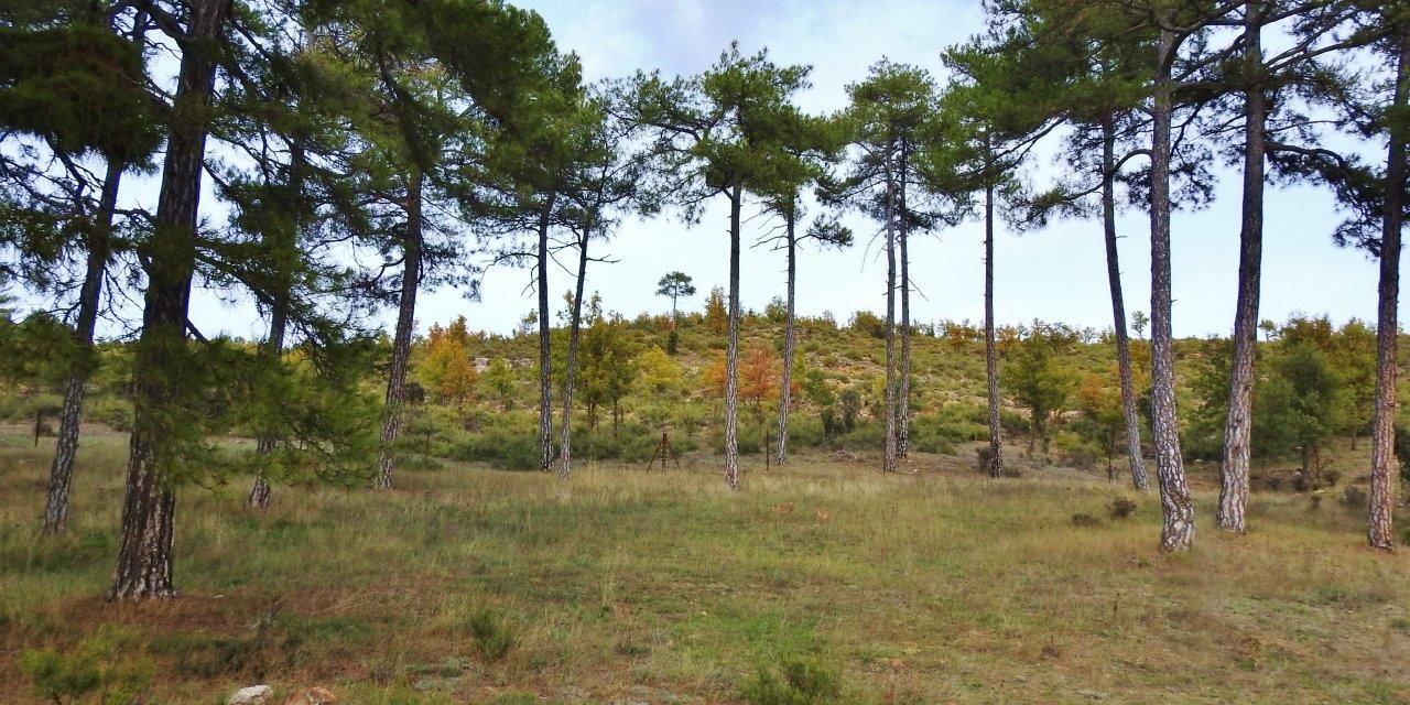 Country house zum verkauf in Villar de Olalla